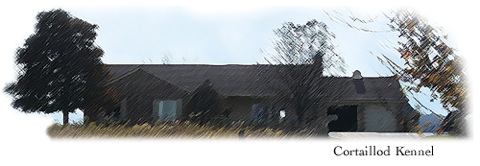 house-3-2